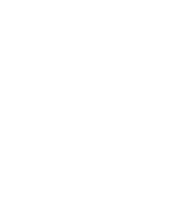 Ups Logo White